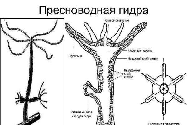 Kraken ссылки актуальные 2025 г