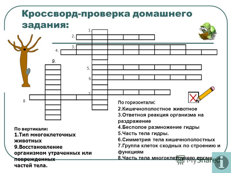 Кракен актуальная ссылка kraken torion net